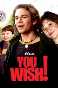 Download You Wish! (2003) Dual Audio {Hindi-English} Esubs BluRay 480p [285MB] || 720p [941MB] || 1080p [1.5GB]